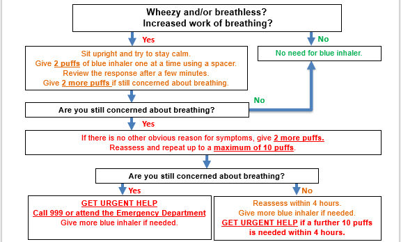 A flow chart. See the plain text version above or to the right.